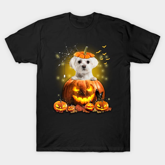 White Maltese Spooky Halloween Pumpkin Dog Head T-Shirt by Mhoon 